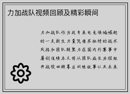 力加战队视频回顾及精彩瞬间