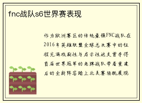 fnc战队s6世界赛表现