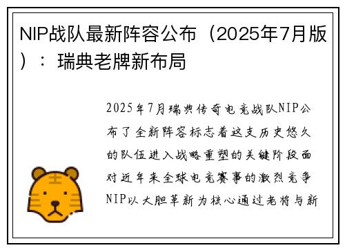 NIP战队最新阵容公布（2025年7月版）：瑞典老牌新布局